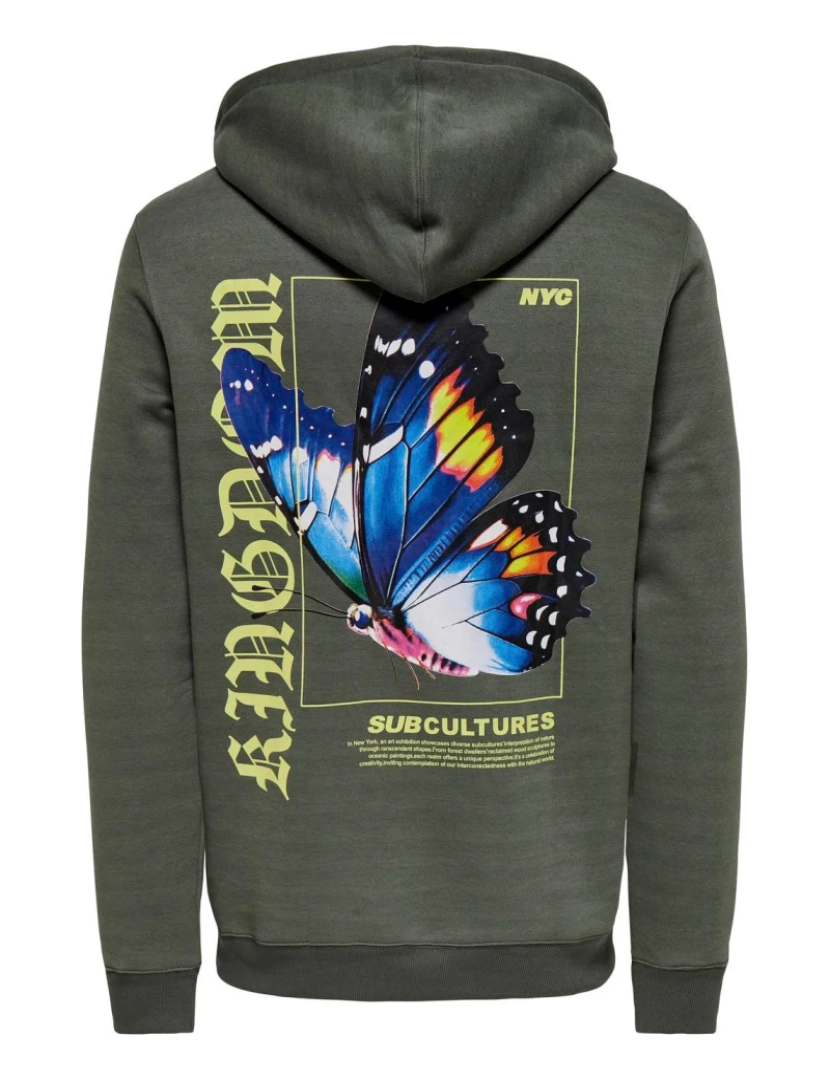 imagem de Only & Sons Keane Hoodie  Cinza3