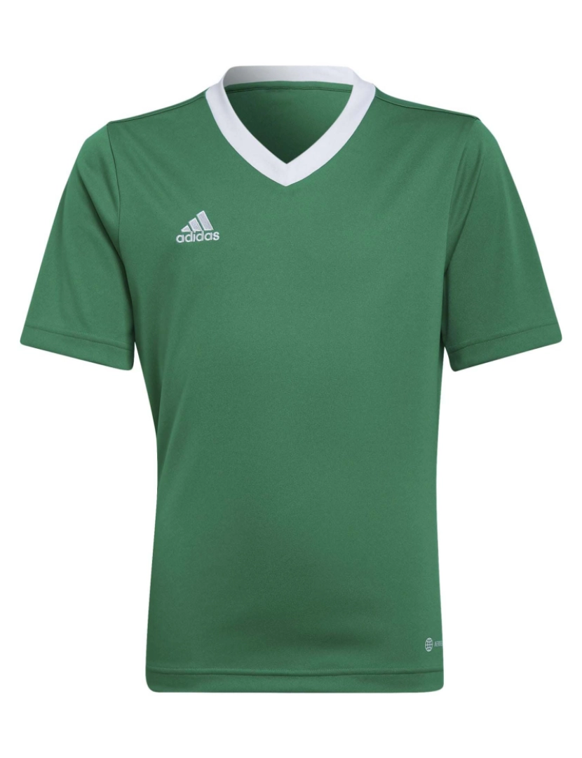 Adidas Sport - Adidas Sport T-Shirt Ent22 Jsy Y Teagrn/W