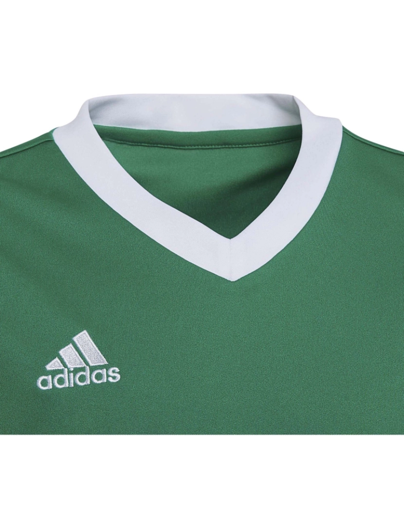 imagem de Adidas Sport T-Shirt Ent22 Jsy Y Teagrn/W4