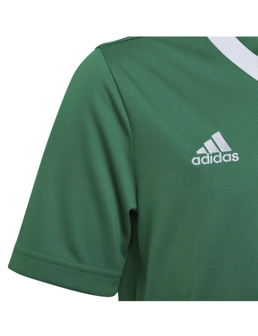 imagem de Adidas Sport T-Shirt Ent22 Jsy Y Teagrn/W5