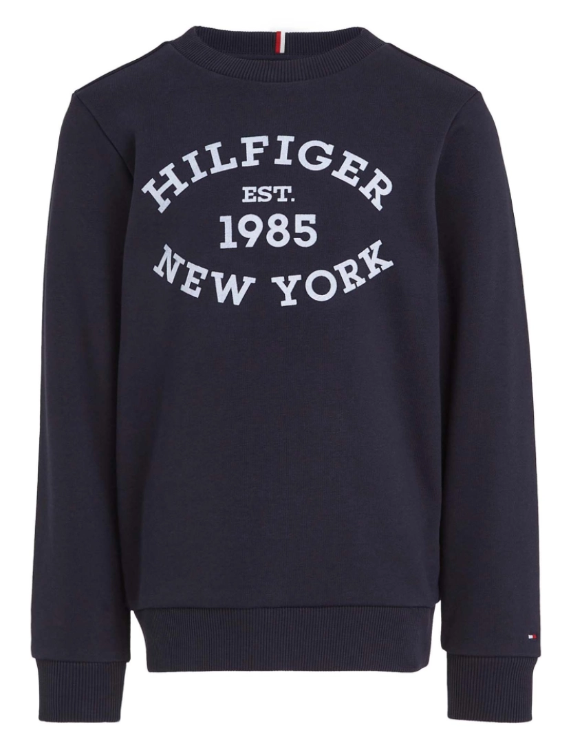 imagem de Moletom Tommy Hilfiger Monotype Flock Reg1