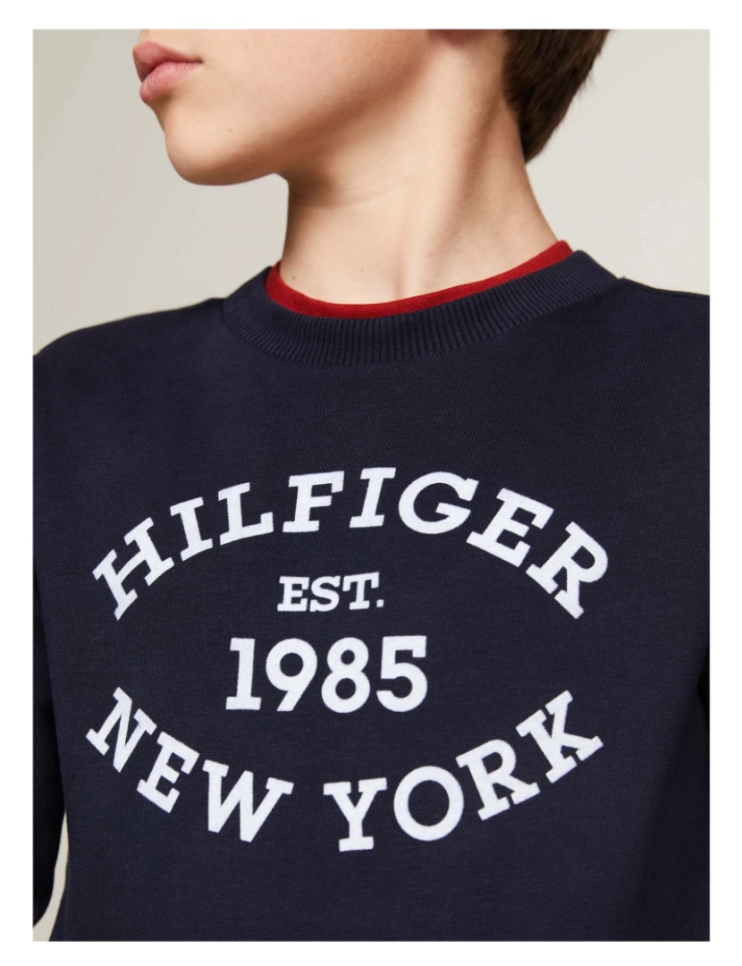 imagem de Moletom Tommy Hilfiger Monotype Flock Reg4