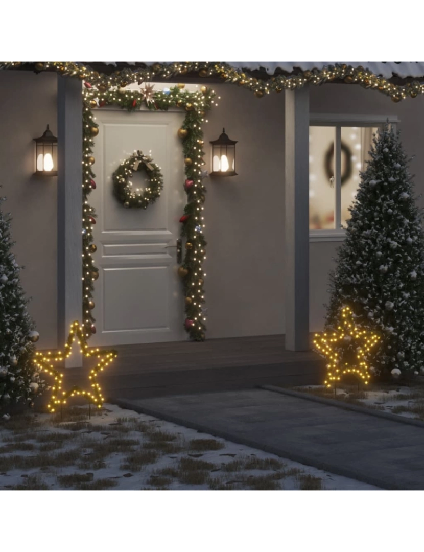 imagem de vidaXL Decoração estrela de Natal c/ luz e estacas 80 luzes LED 60 cm2