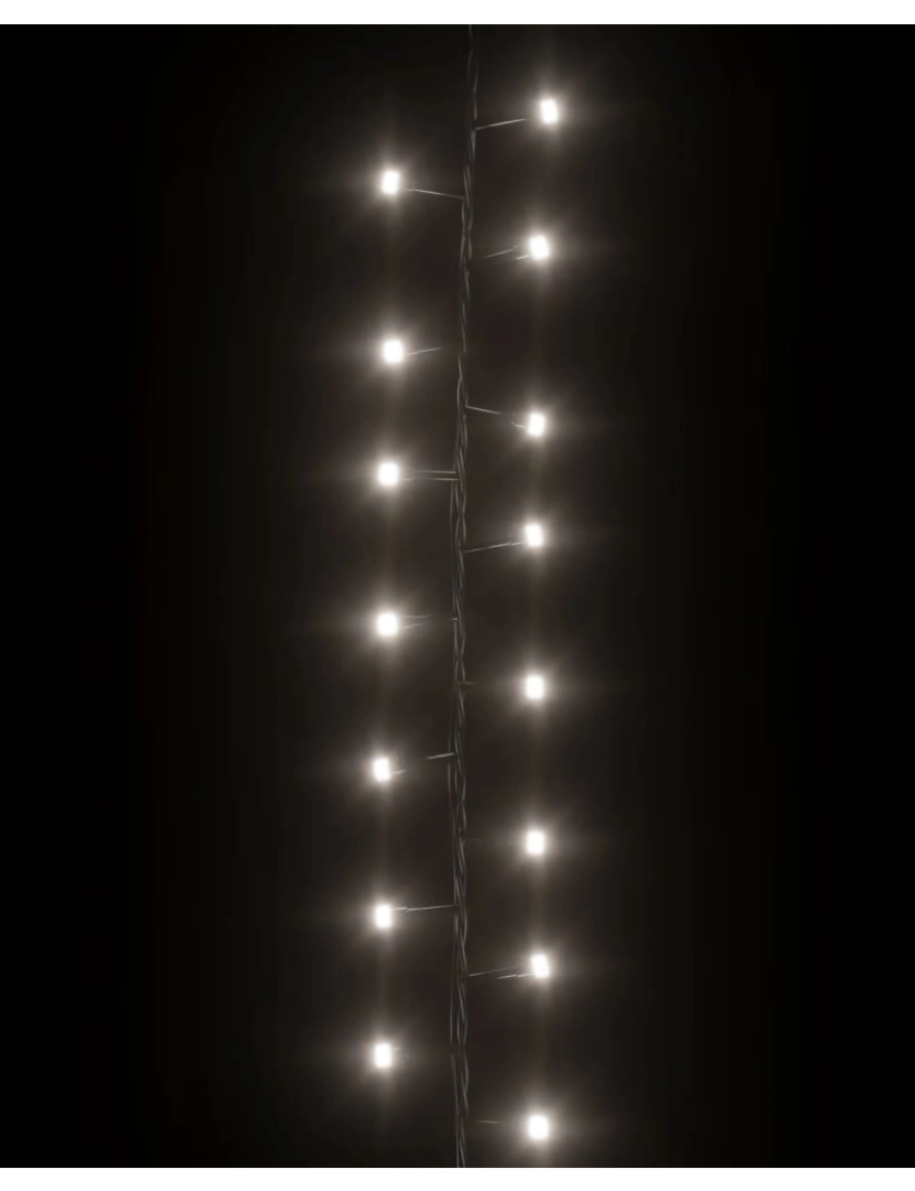 imagem de vidaXL Cordão de luzes compacto 3000 luzes LED 65 m PVC branco frio6