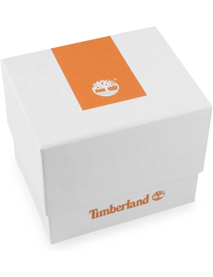 imagem de Relógio Timberland Henniker III Dual Time TDWGF21006034