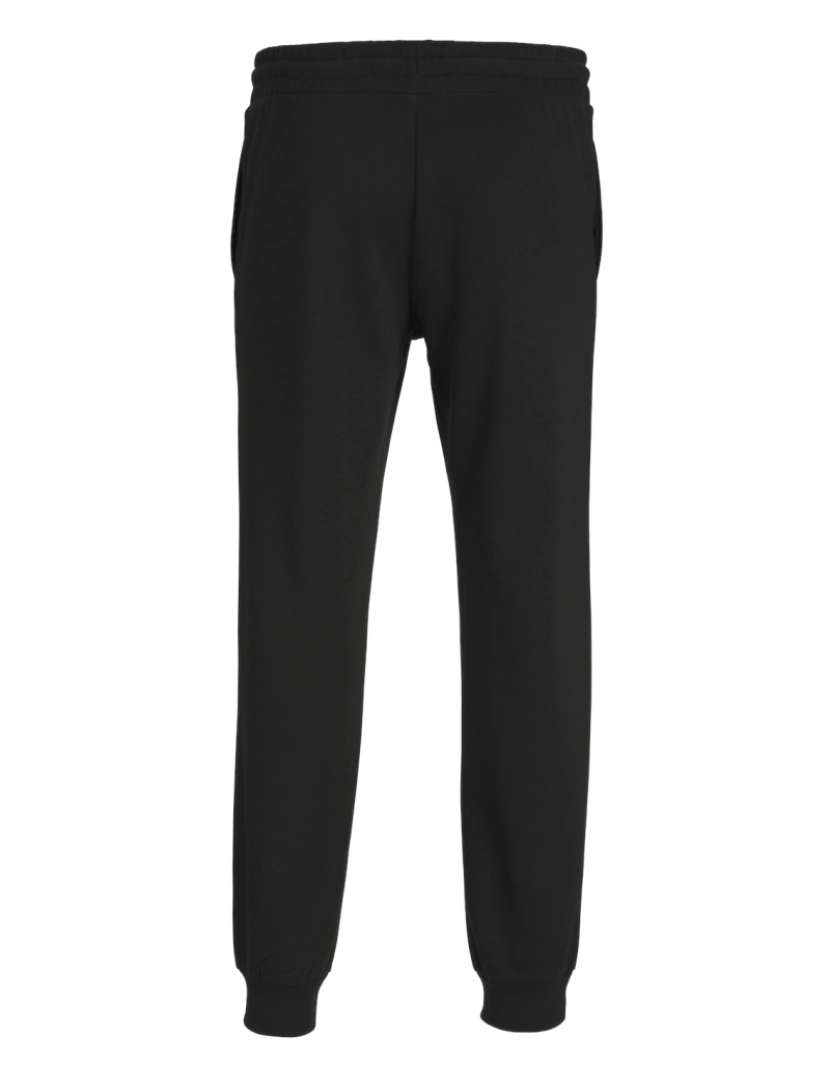 imagem de Jack & Jones Gordon Ferris Sweat Pant Negro3