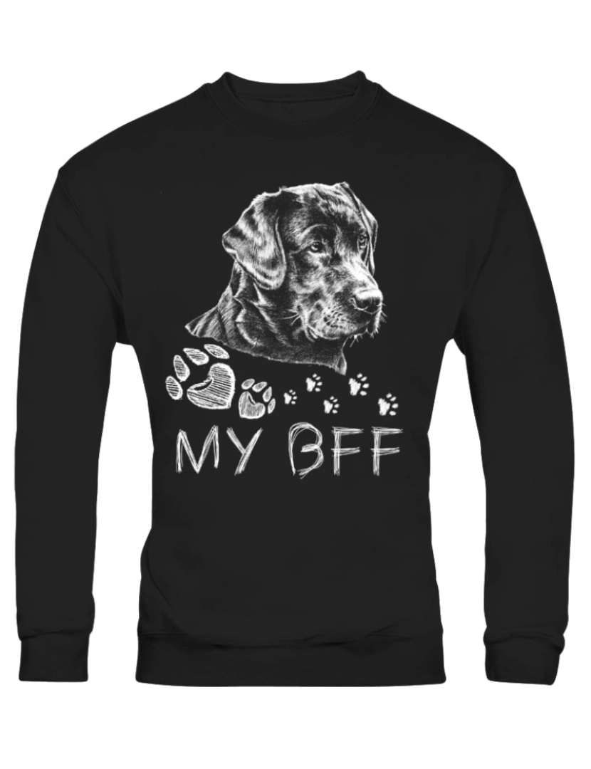 imagem de moletom Moletom My BFF CrewneckHoodie moletom-S1