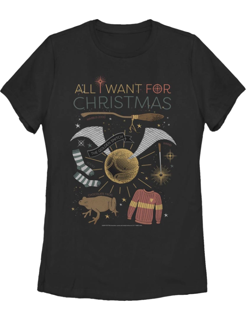 imagem de Camiseta feminina All I Want For Christmas Harry Potter-S1