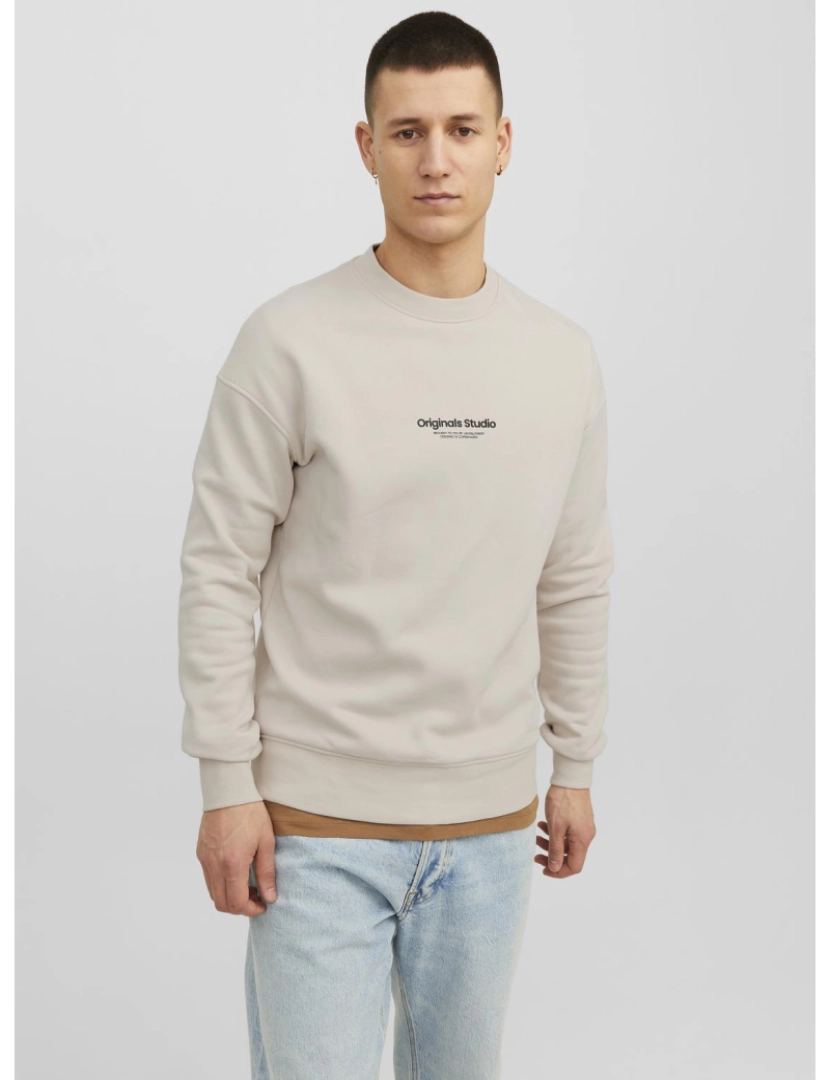 imagem de Jack & Jones Vesterbro Sweat Crew Neck Bege3