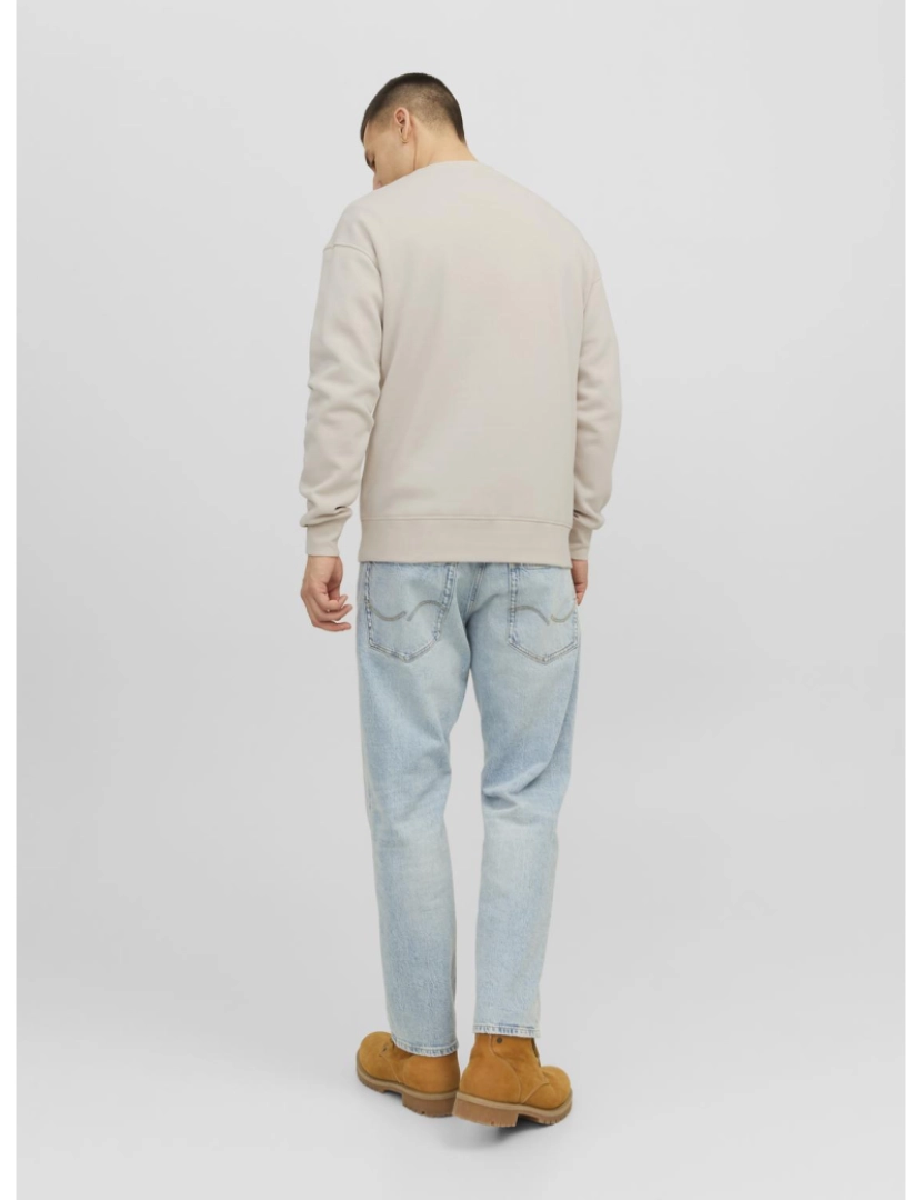 imagem de Jack & Jones Vesterbro Sweat Crew Neck Bege4