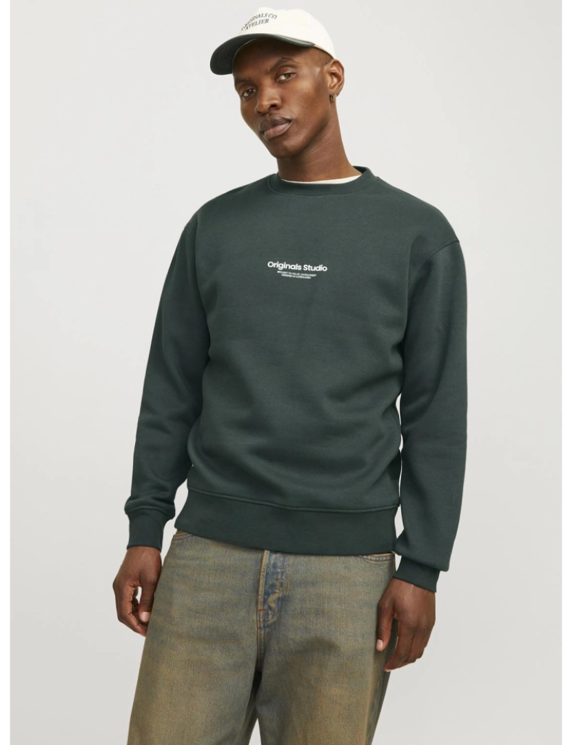 imagem de Jack & Jones Vesterbro Sweat Crew Neck Verde3