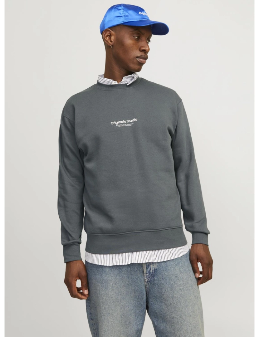 imagem de Jack & Jones Vesterbro Sweat Crew Neck Cinza3