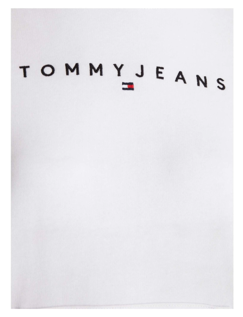 imagem de Camisola Tommy Jeans Tjw Reg Linear Hoodi5