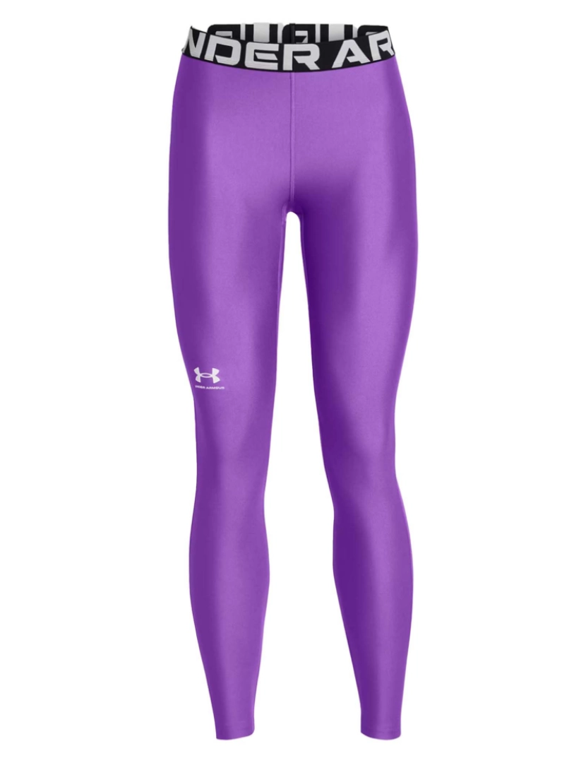 Under Armour - Leggings Under Armour Ua Hg Legging