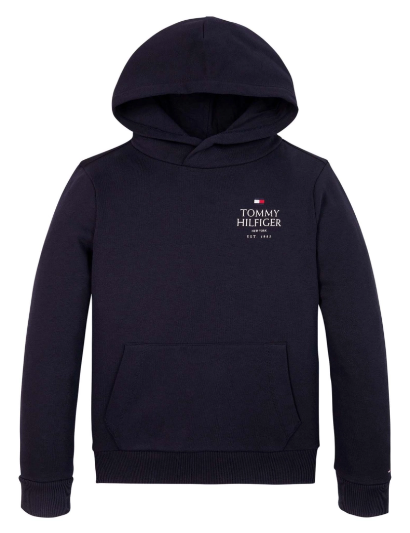 Tommy Hilfiger - Tommy Hilfiger Th Logo Puff Print Reg Hoodie Sweatshirt