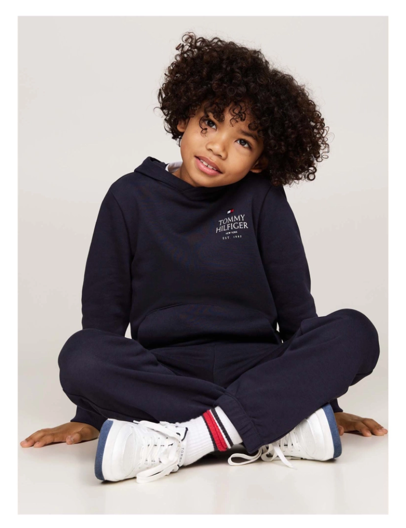 imagem de Tommy Hilfiger Th Logo Puff Print Reg Hoodie Sweatshirt4