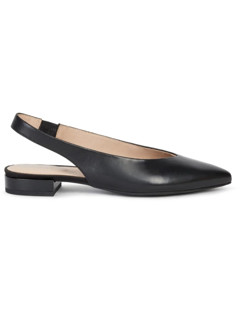 Geox - Geox Black Flats Calçados Femininos