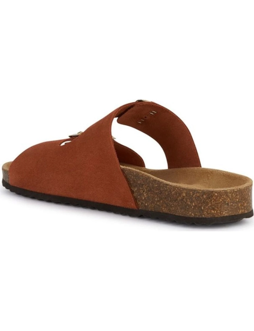 imagem de Geox Brown Sandals sapatos de mulheres4