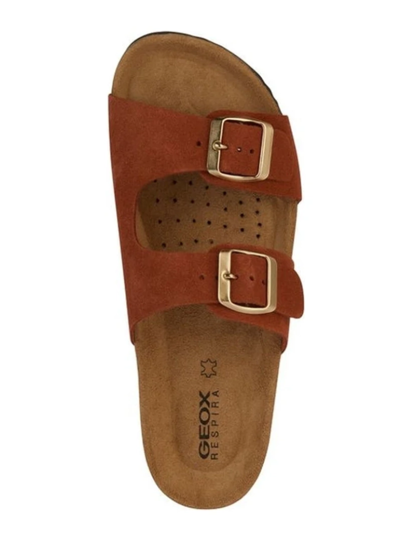 imagem de Geox Brown Sandals sapatos de mulheres6