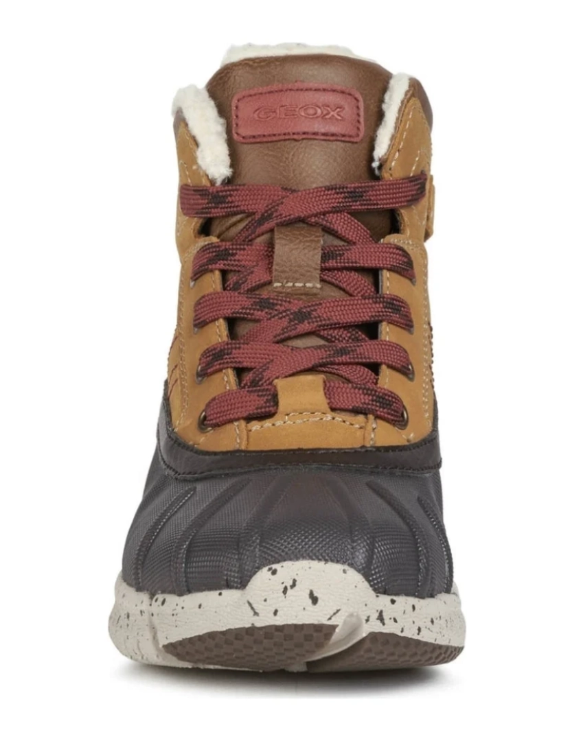 imagem de Geox Brown Botas Meninos Sapatos8