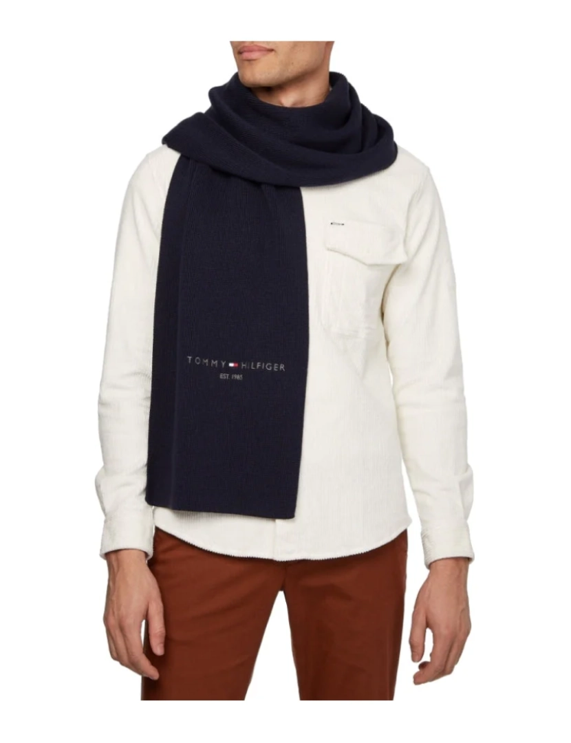 imagem de Tommy Hilfiger Cachecóis azuis Acessórios para homens4