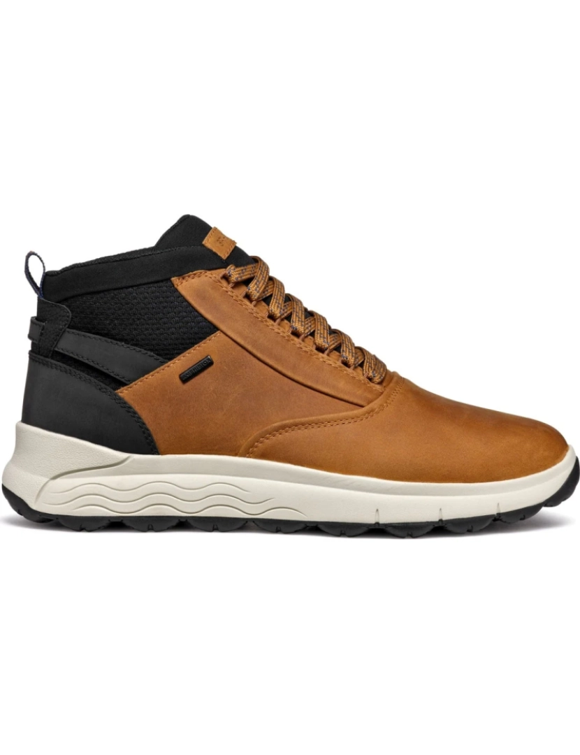 imagem de Geox Brown Booties sapatos masculinos3