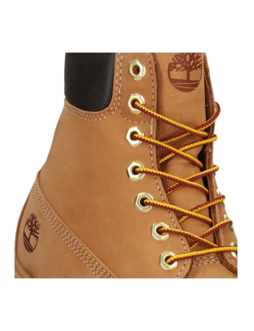 imagem de Timberland Brown Booties Calçados Masculinos6