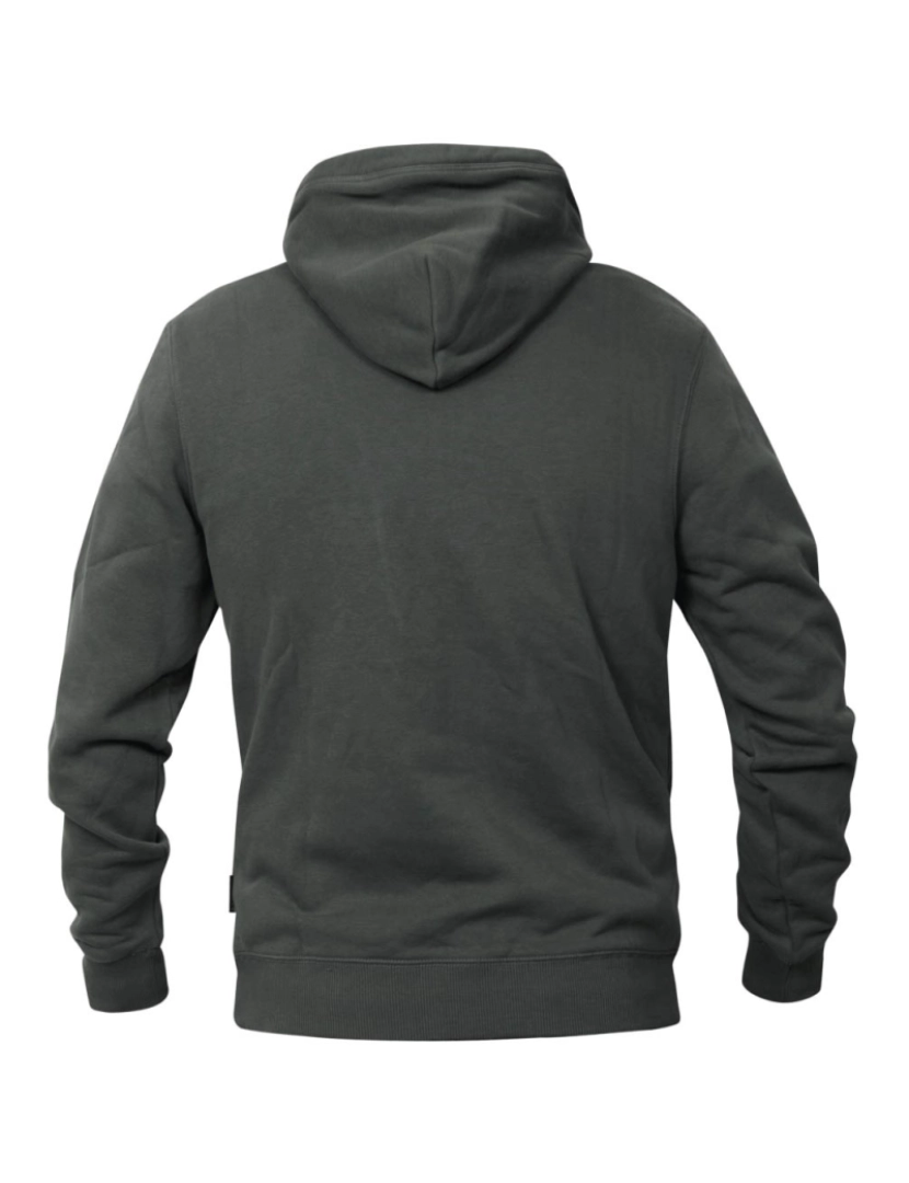 imagem de Napapijri B-Kasba H Wint Hoodie Verde3