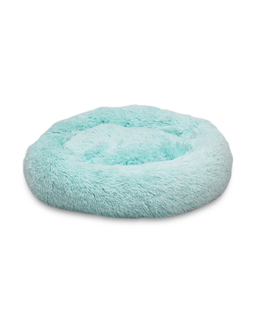 Agui - Agui Fluffy Donut Azul