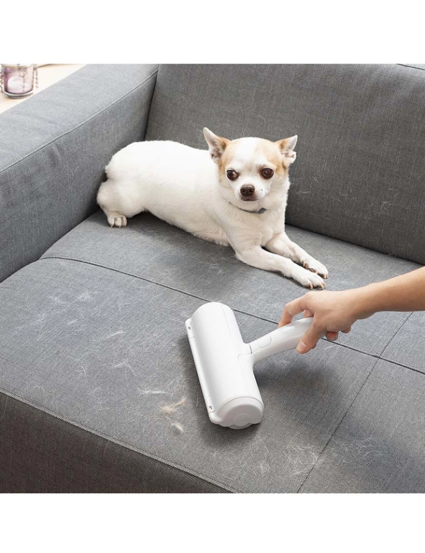 Innovagoods - Rolo Removedor de Pelos de Animais de Estimação Rellair InnovaGoods