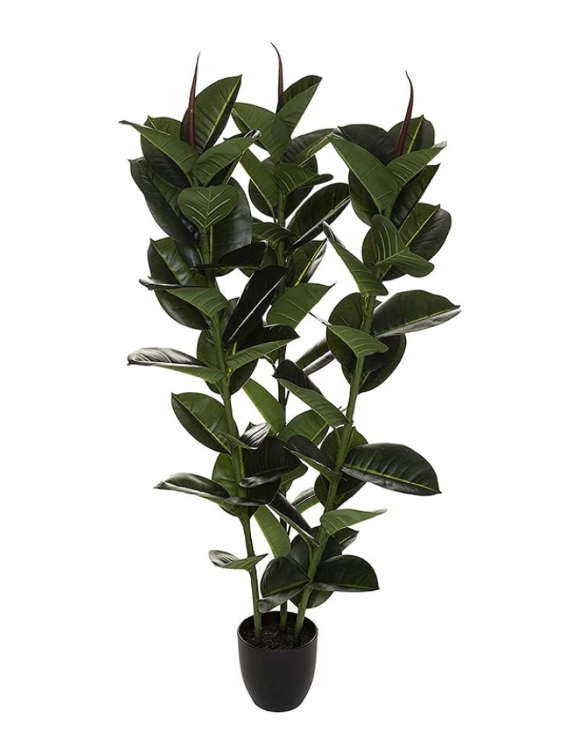 Atmosphera - Planta Artificial Ficus  Robusta  Altura 120