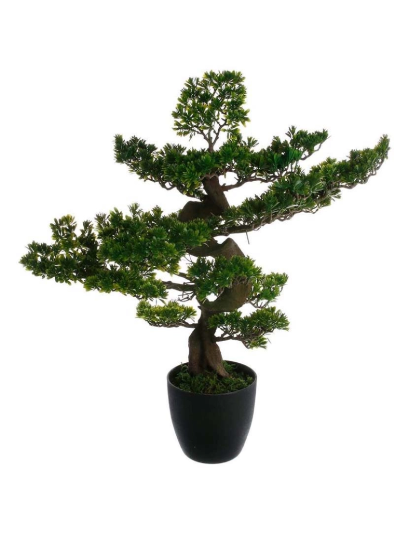 Atmosphera - Bonsai Artificial