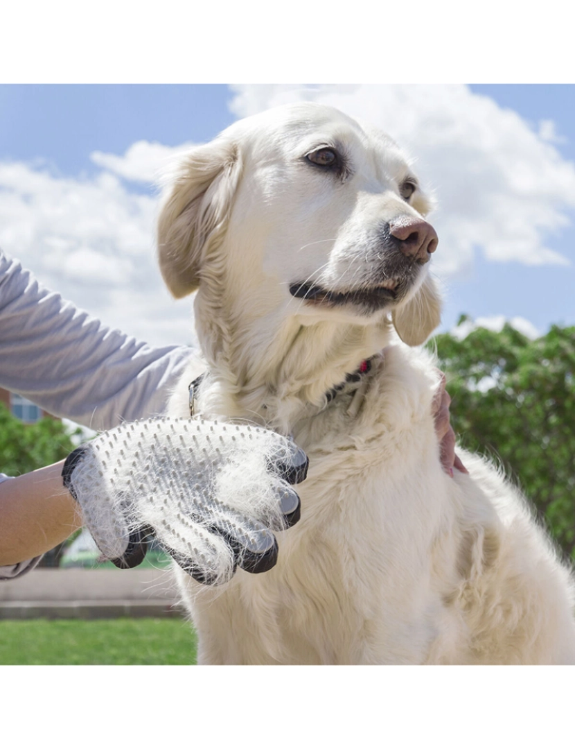 Innovagoods - Luva para Escovar e Massajar Animais de Estimação Relpet InnovaGoods