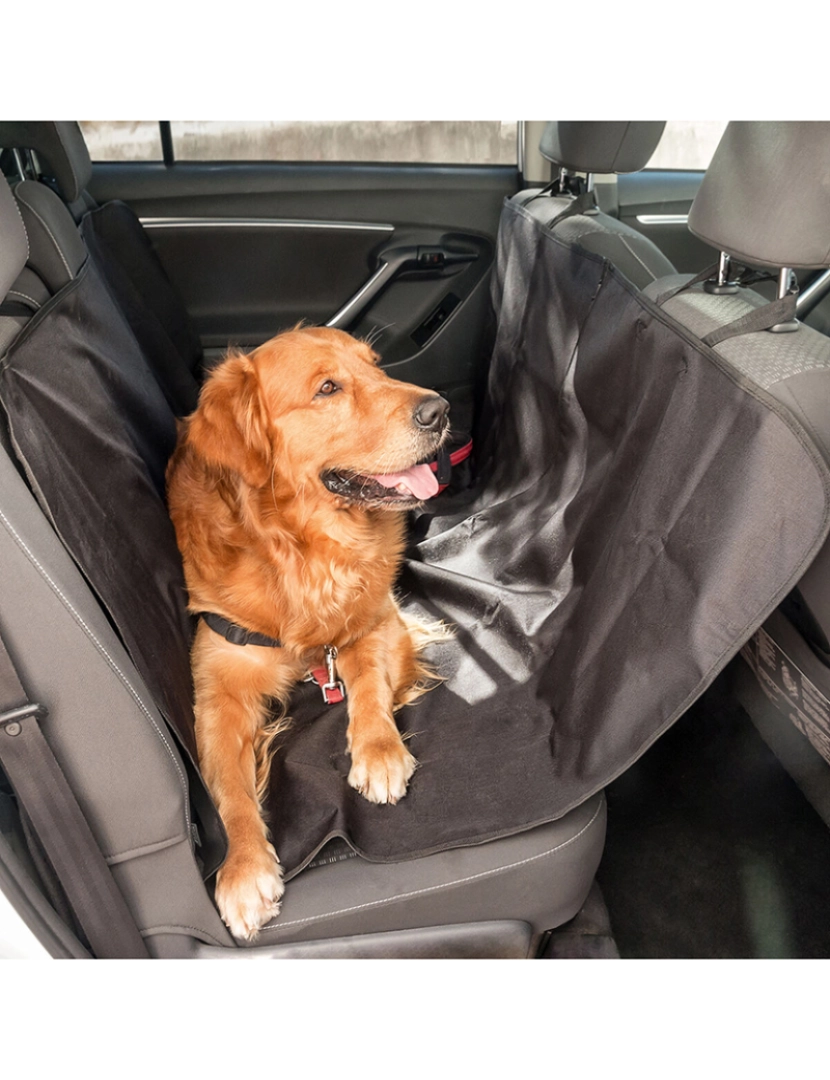 Innovagoods - Capa Protetora de Carro para Animais de Estimação Petchez InnovaGoods