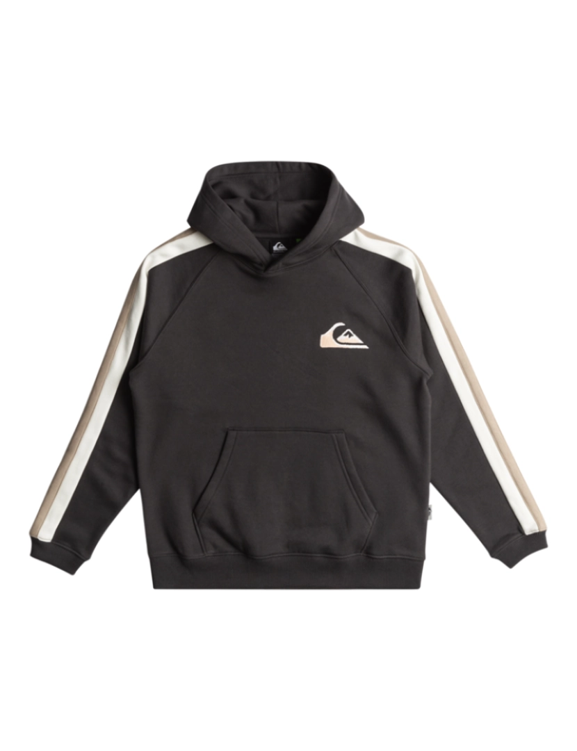 Quiksilver - Sweatshirt Rapaz cinza