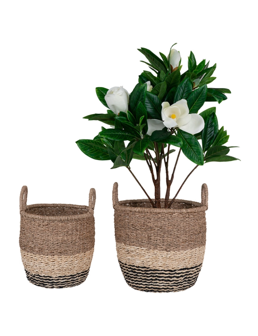 House Nordic - Lima Baskets Natureza / Castanho / Preto