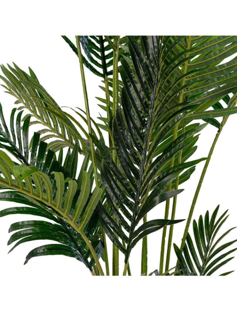 House Nordic - Areca Palmeira Verde