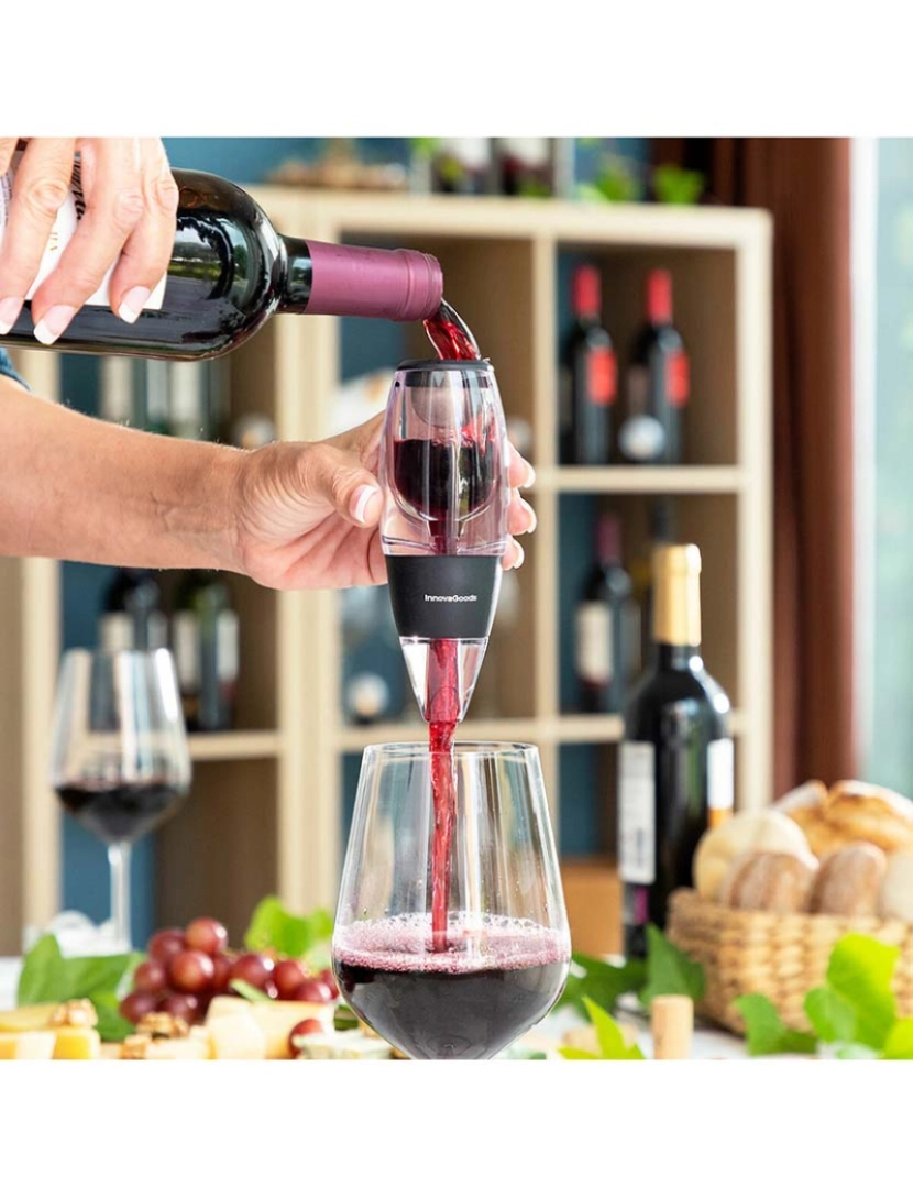 Innovagoods - Arejador de Vinho com Filtro, Suporte e Estojo Wineir InnovaGoods