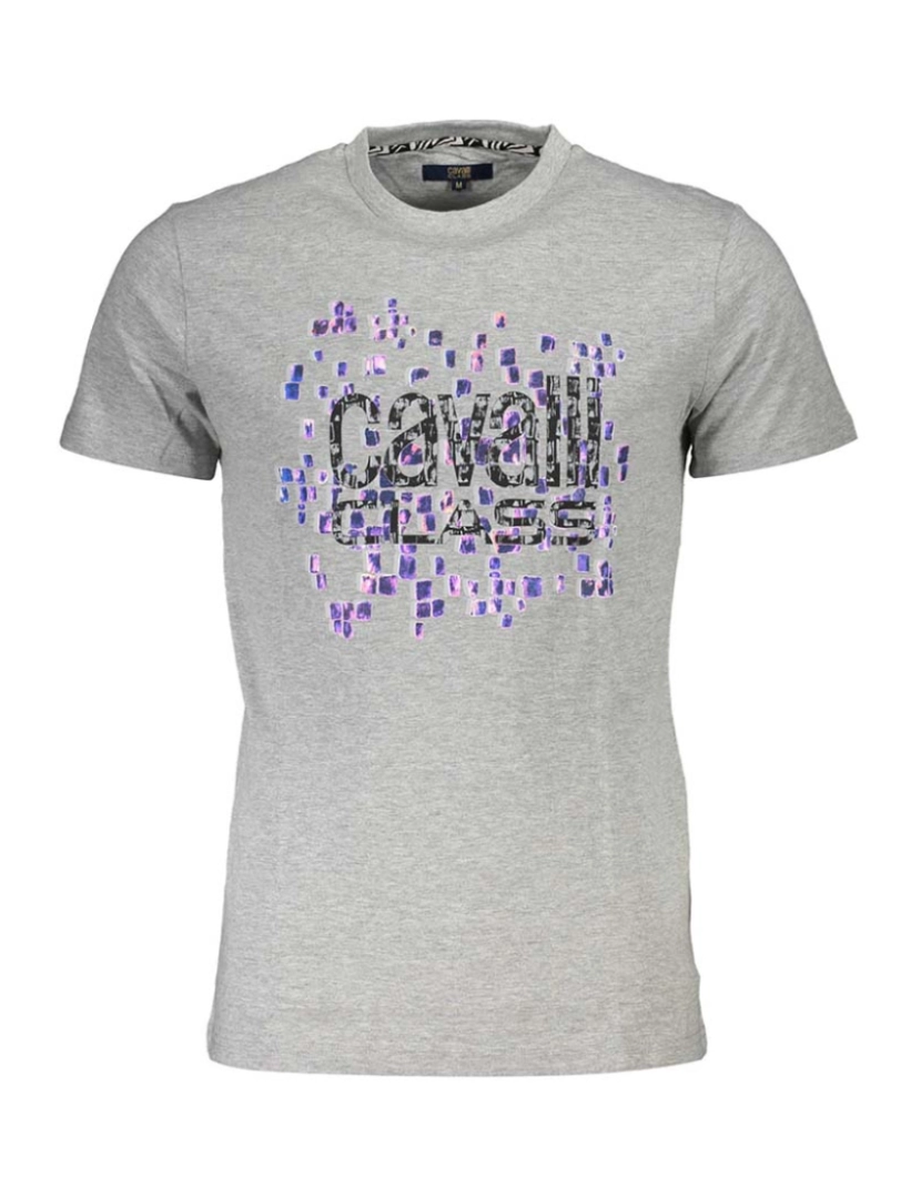 Cavalli Class - T-Shirt Homem  cinzento