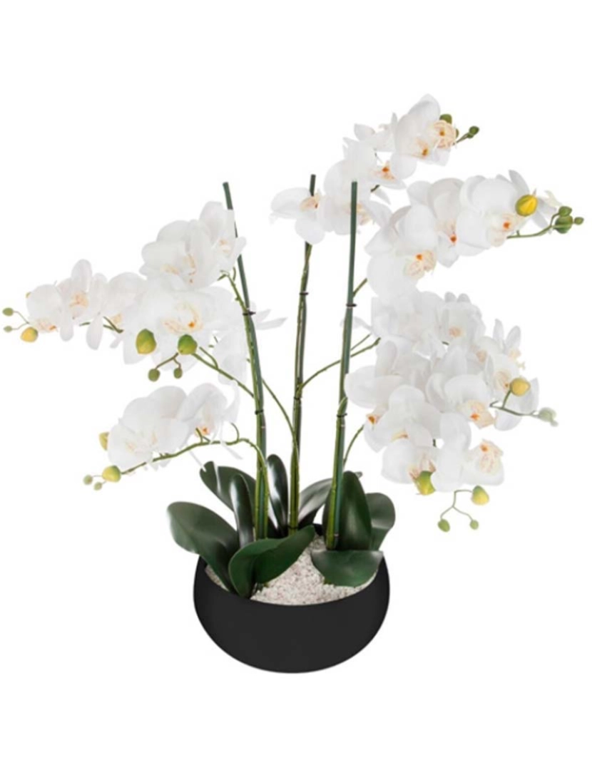 Atmosphera - Vaso De Orquídea Cerâmico Preto H65