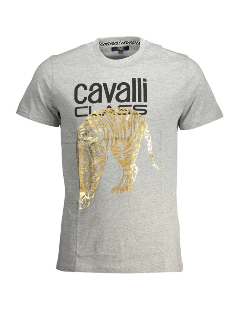 Cavalli Class - T-Shirt Homem Cinza