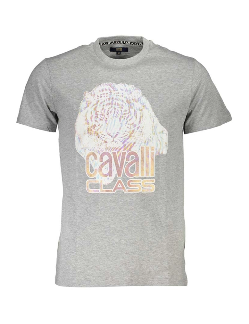 Cavalli Class - T-Shirt Homem Cinza