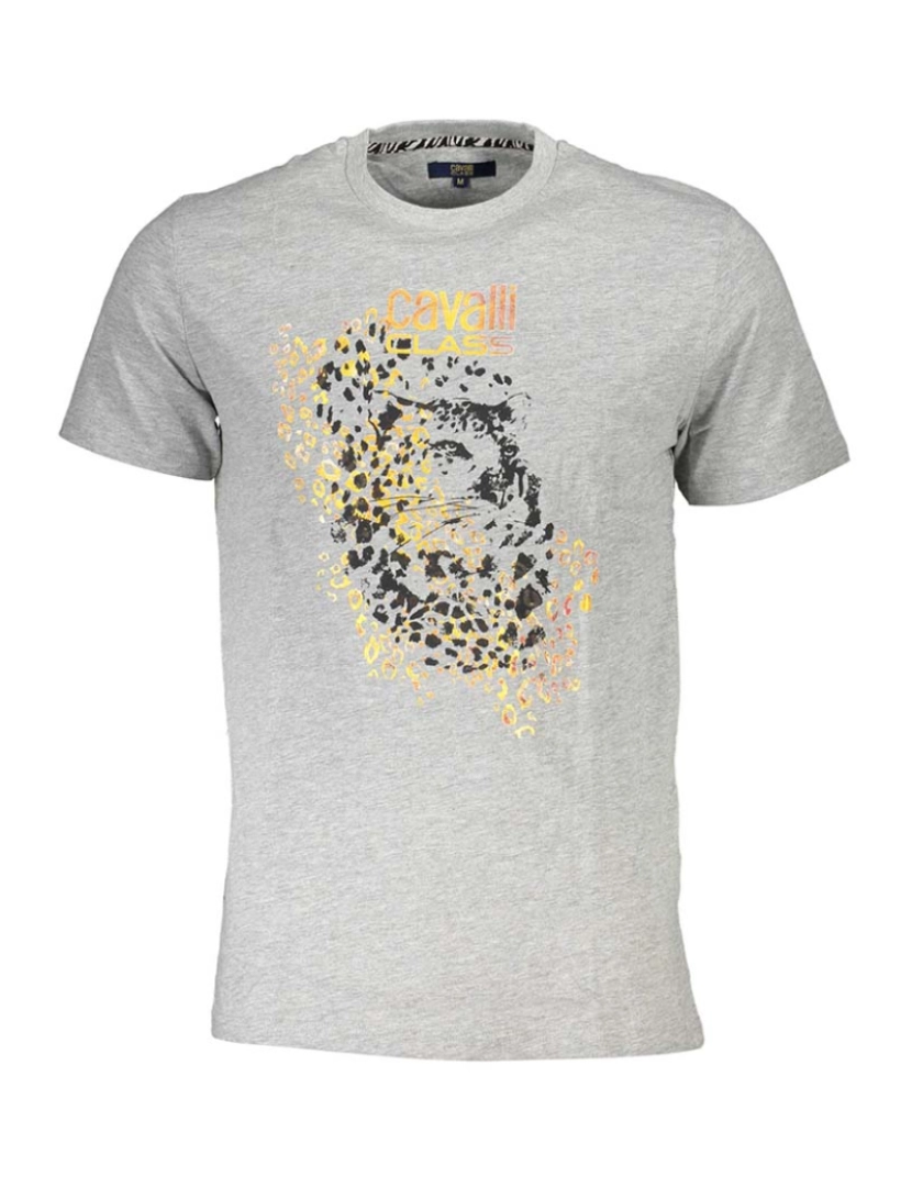 Cavalli Class - T-Shirt Homem Cinza