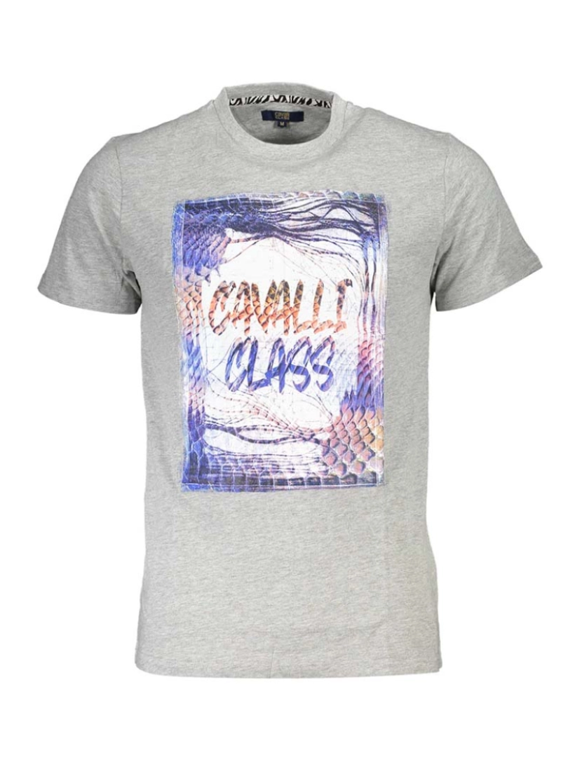 Cavalli Class - T-Shirt Homem Cinza