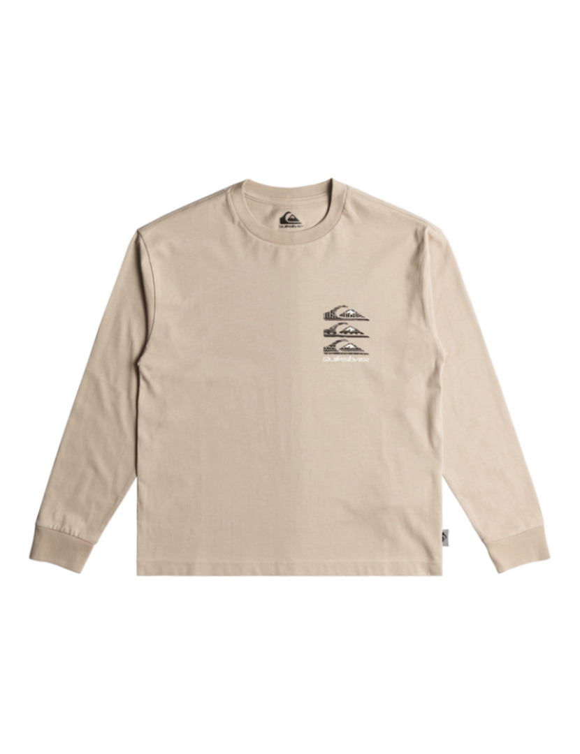 Quiksilver - Camisola Rapaz Taupe 