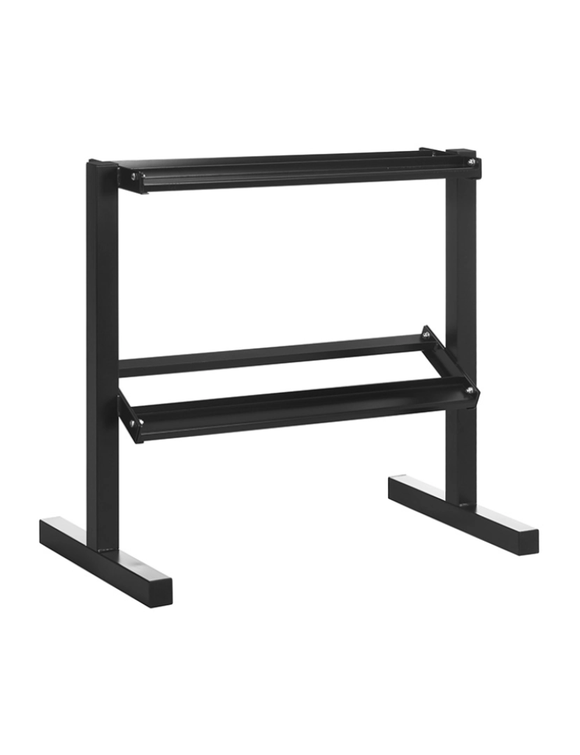 Sportnow - SPORTNOW Suporte para Halteres de 2 Níveis Suporte de Armazenamento para Halteres de Aço para Ginásio em Casa Carga Máxima 270 kg 92,5x50,5x80,5 cm Preto