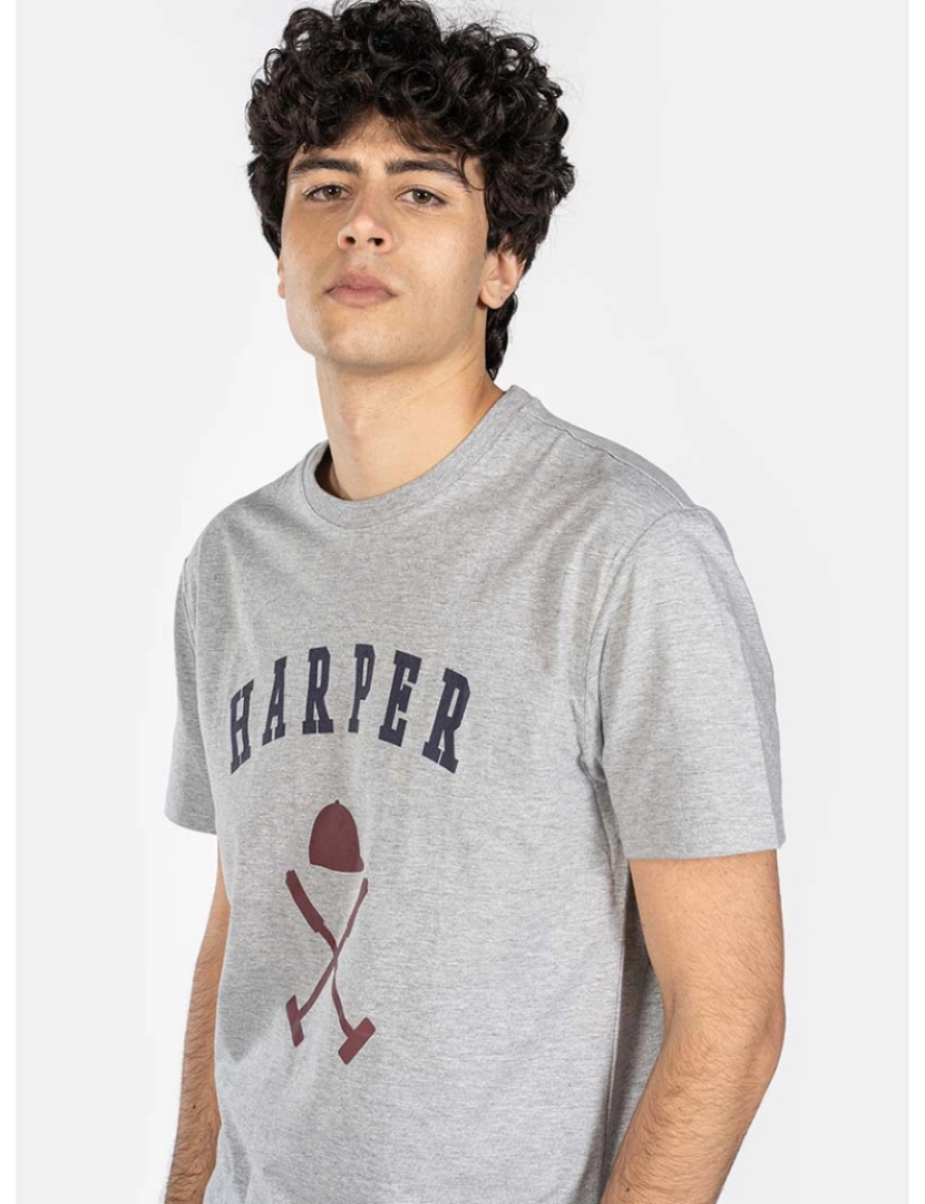 Harper&Neyer - T-Shirt Icon Homem Cinza Claro