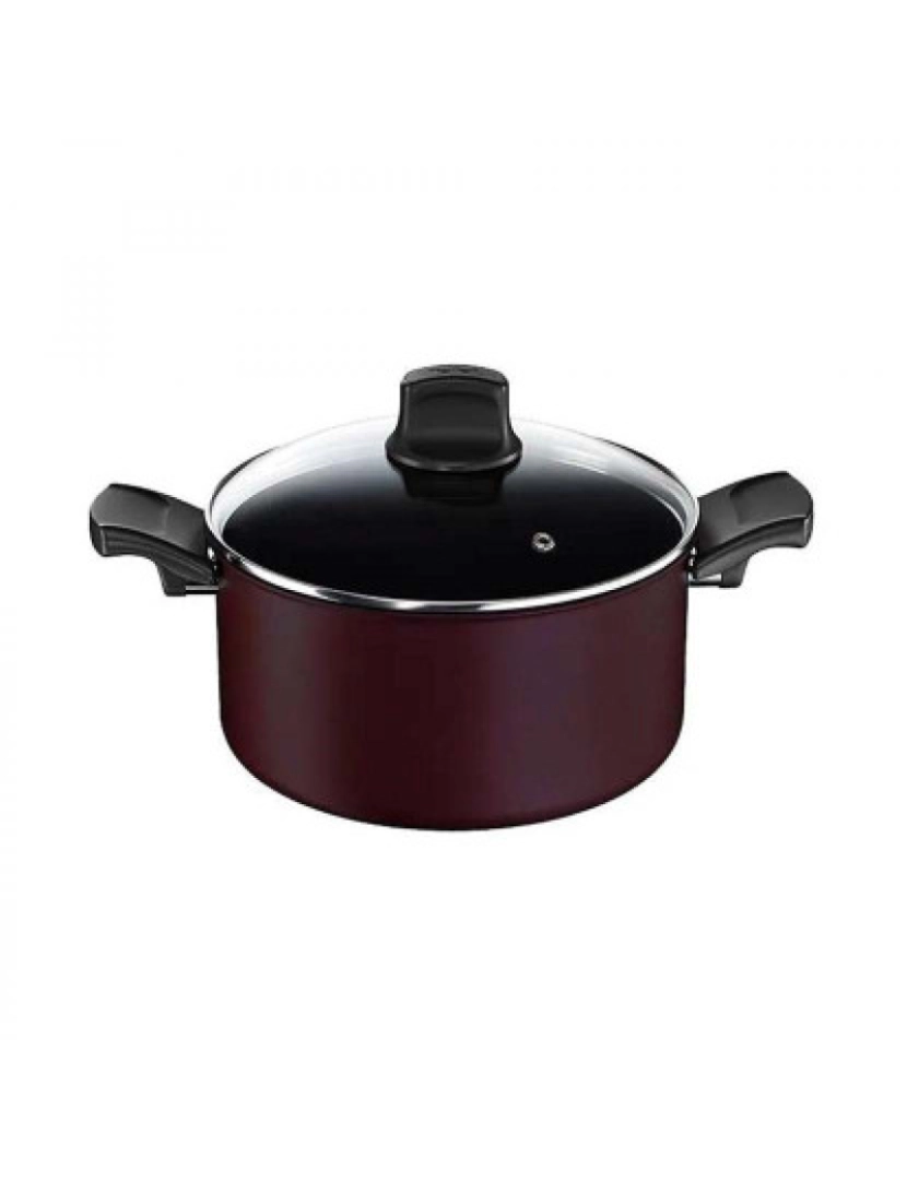 Tefal - TACHO TEFAL TITANIUM SIGNATURE IND. 24CM + TAMPA VIDRO - C6874602