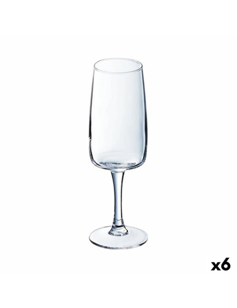 Luminarc - Copo de champanhe Luminarc Equip Home Transparente Vidro 170 ml (6 Unidades)